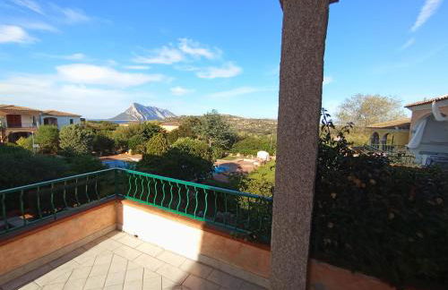 Flamingo's Home - Foto 7