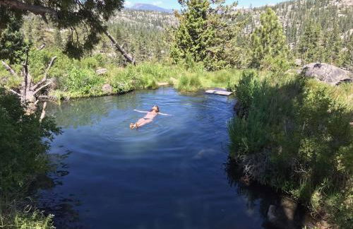 Creekside Cabin - Pup-Friendly with AC - Foto 70