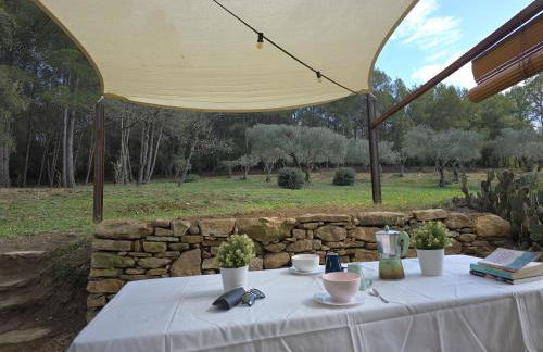 MAS TARRÈS - Foto 9