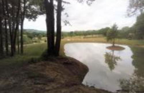 Peaceful ensuite lakeside cabin 'Tench' - Foto 30