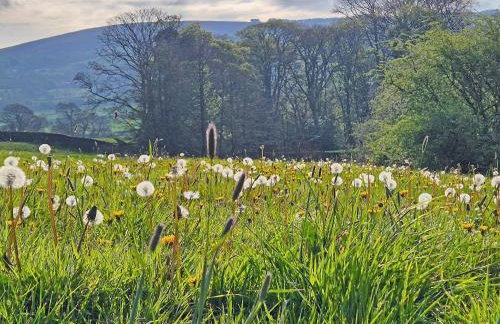 Hollin Bank Cottage - Foto 28