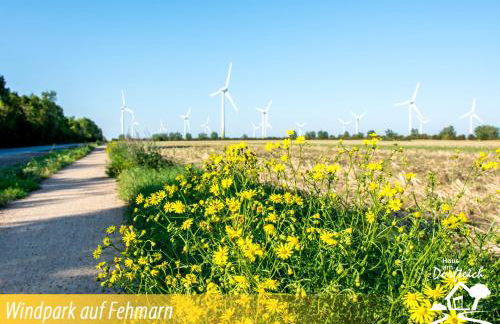 Haus am Dorfteich Fehmarn - Foto 53