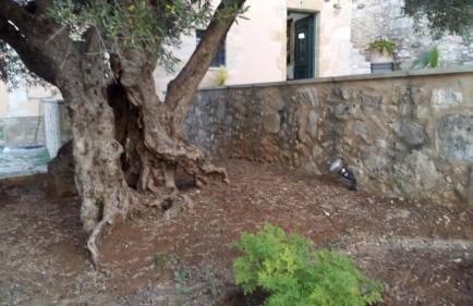 Tzitzifes Stone Mansion - Foto 80