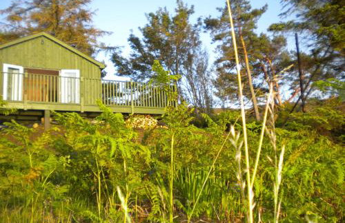 The Green House - Foto 21