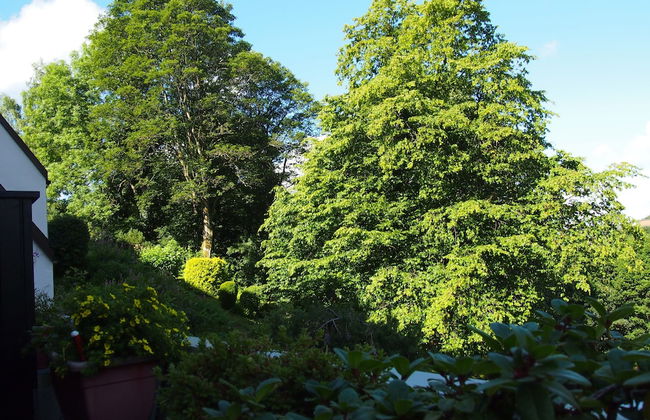 Apartment Harzgrün 2 - Foto 12