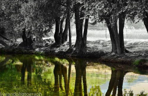 Casa Lagar Da Alagoa - Foto 14