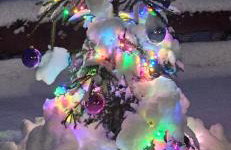 Ostoja Bukowo Kaszmir 18,1 - Foto 9