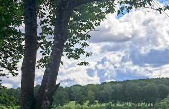 Mały Domek - Foto 17