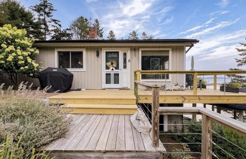 Seguinlandia - Foto 1