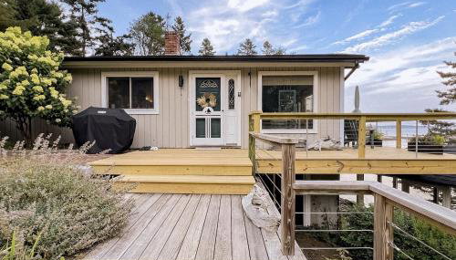 Seguinlandia - Foto 1