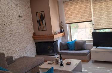 L D House Lagonisi - Foto 1