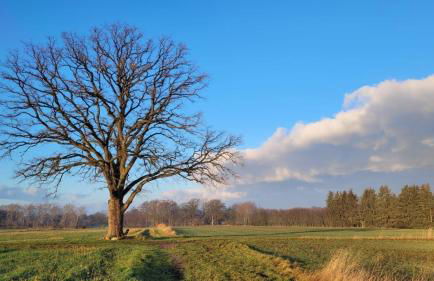 Ferienwohnung Schöner Winkel - Foto 11