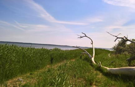 Zur Schwedenschanze 1 - Foto 35