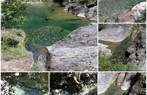 Les bougainvilliers - Foto 37