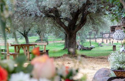 Su Leunaxiu - Foto 98