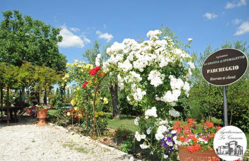 Agriturismo Castello La Grancia di Spedaletto - Foto 36