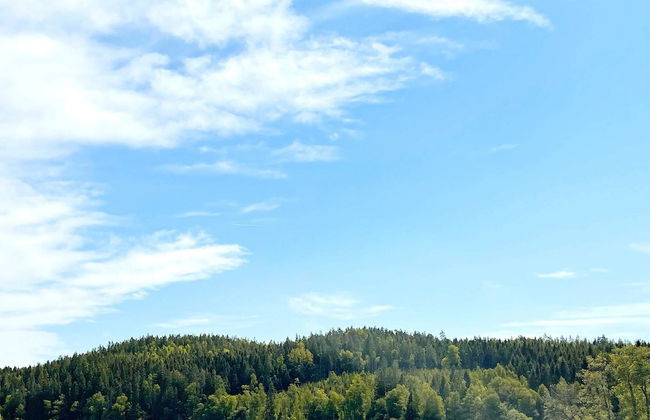 4 Person Holiday Home in Fargelanda-by Traum - Foto 15