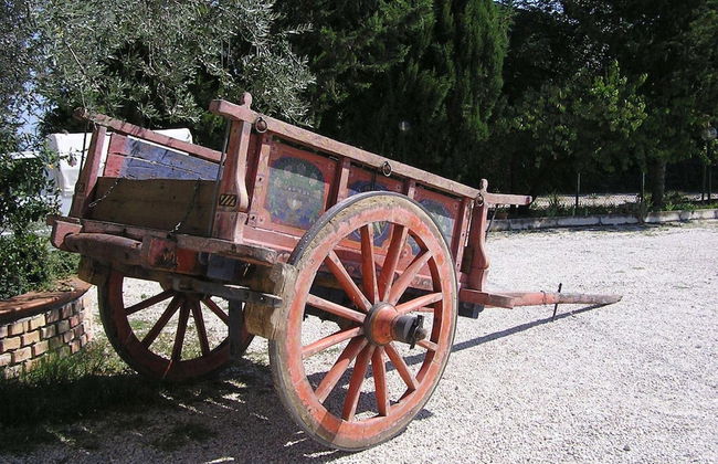 Agriturismo Il Vecchio Carro - Foto 64