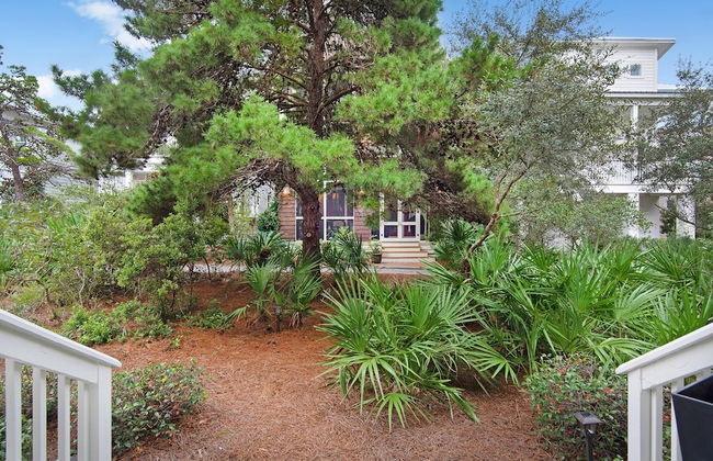 Dock Holiday - Foto 23