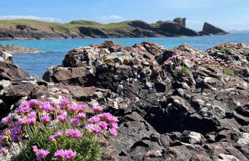 Beautiful cottage in a wonderful Highland setting - Foto 17