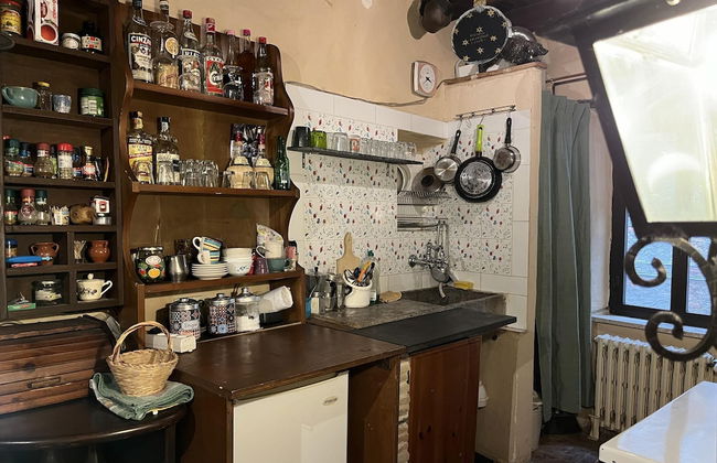 Preta Nera Van Gogh in Giuliano di Roma - Foto 17