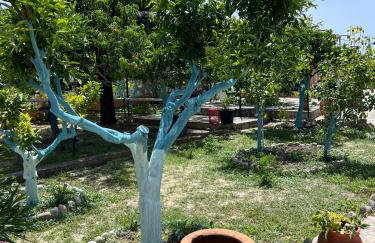 Village Guest House - Foto 16