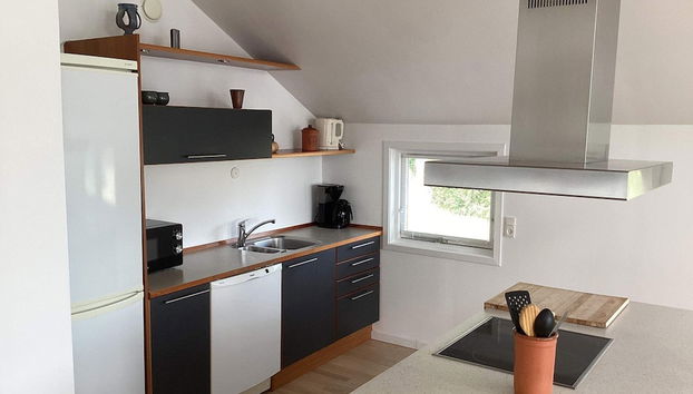 8 Person Holiday Home in Hojslev - Foto 4, Cocina privada