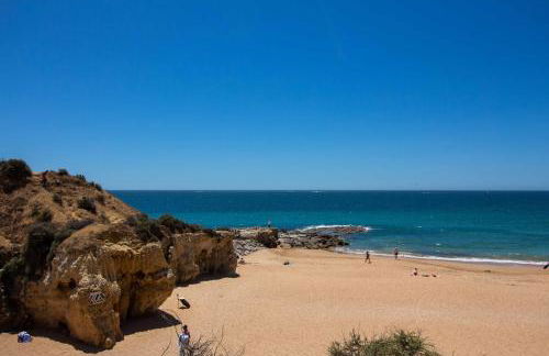 Barracuda A14 - Foto 41