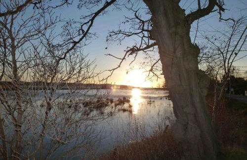 Reetdachhaus am Bodden Middelhagen - Foto 13
