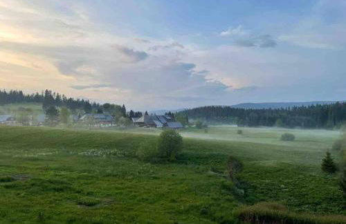 Helle gemütliche Ferienwohnung in Schwarzwaldhof - Foto 15