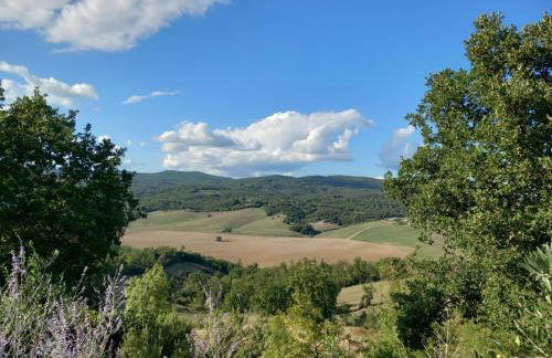 Agriturismo Timignano - Foto 34