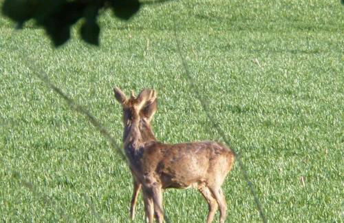 Cosy Flat in a Pretty Town. - Photo 13
