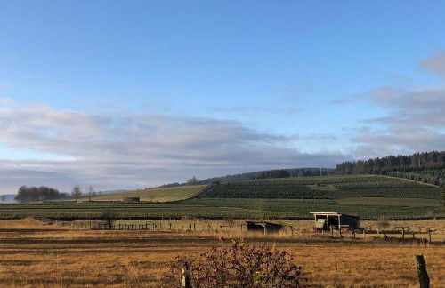 Fennies Hütte - Foto 41