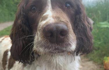 High Tide Lodge - Foto 51