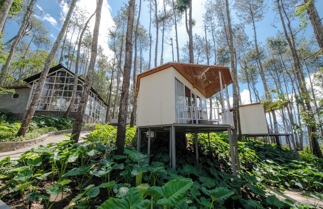 La Pino Mount Batur and Hot Spring - Foto 29