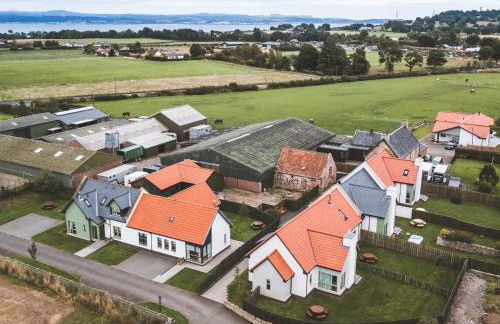 Petronella - Foto 32