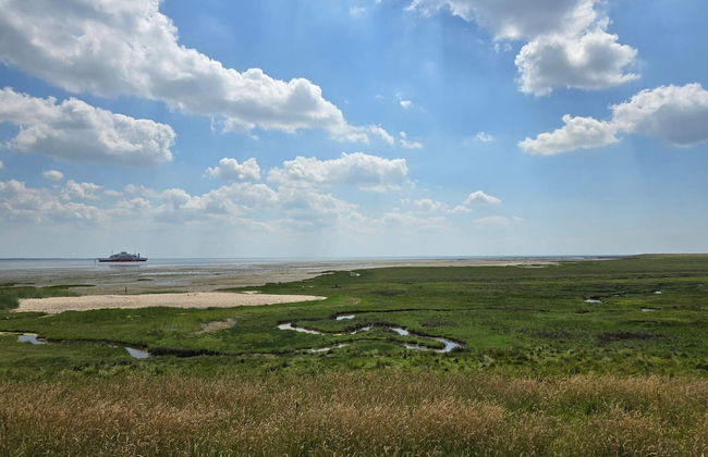 12 Person Holiday Home in Romo - Foto 11