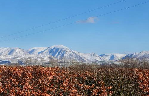 High Mains - Foto 17