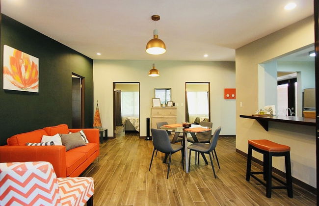 Relaxing Sound of River Birds Squirrels - Foto 18