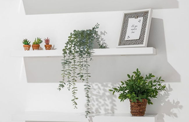 Welcoming Airbnb Walkig Distance to Las Olas Blvd - Photo 20