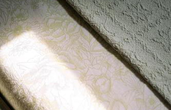 Venice's neighbor Home - Photo 41