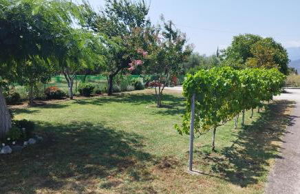 Meteora countryside villa - Foto 60