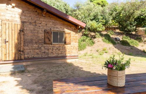 Azienda Agricola Club Le Cannelle - Foto 132