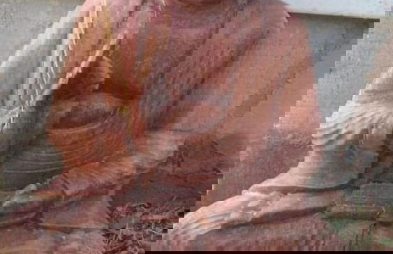 Essência da Guarda Surf House - Photo 22