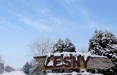 Leśny Dwór Bieszczady - Foto 42