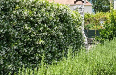 Villa Palazzo Limone with pool by Villas Guide - Foto 26