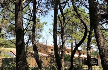 Chalet Bois Surf 5 min à pieds de l'océan - Foto 17