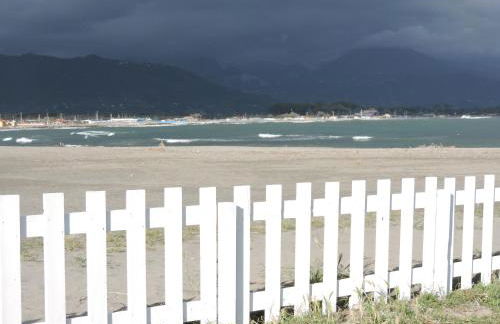 plumbago blue - Foto 14