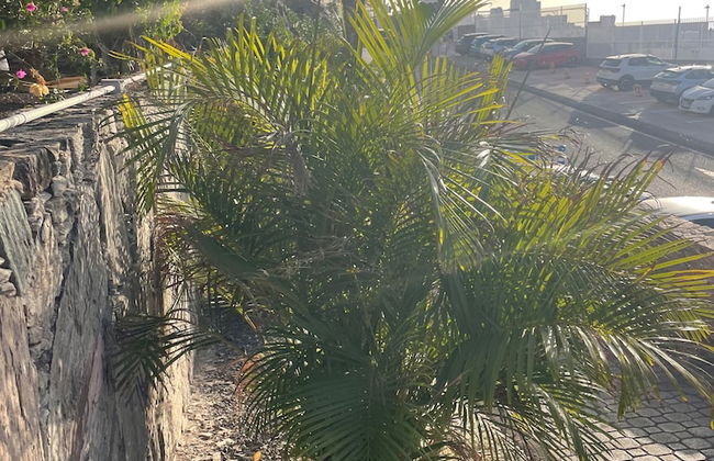 Sunny Seaview Modern apt - Pool and Beach Access - Foto 29