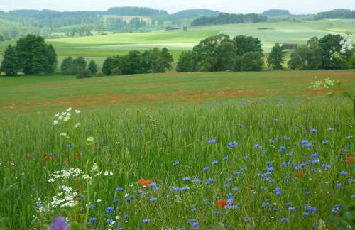 Ferienwohnung Lisa - Foto 10